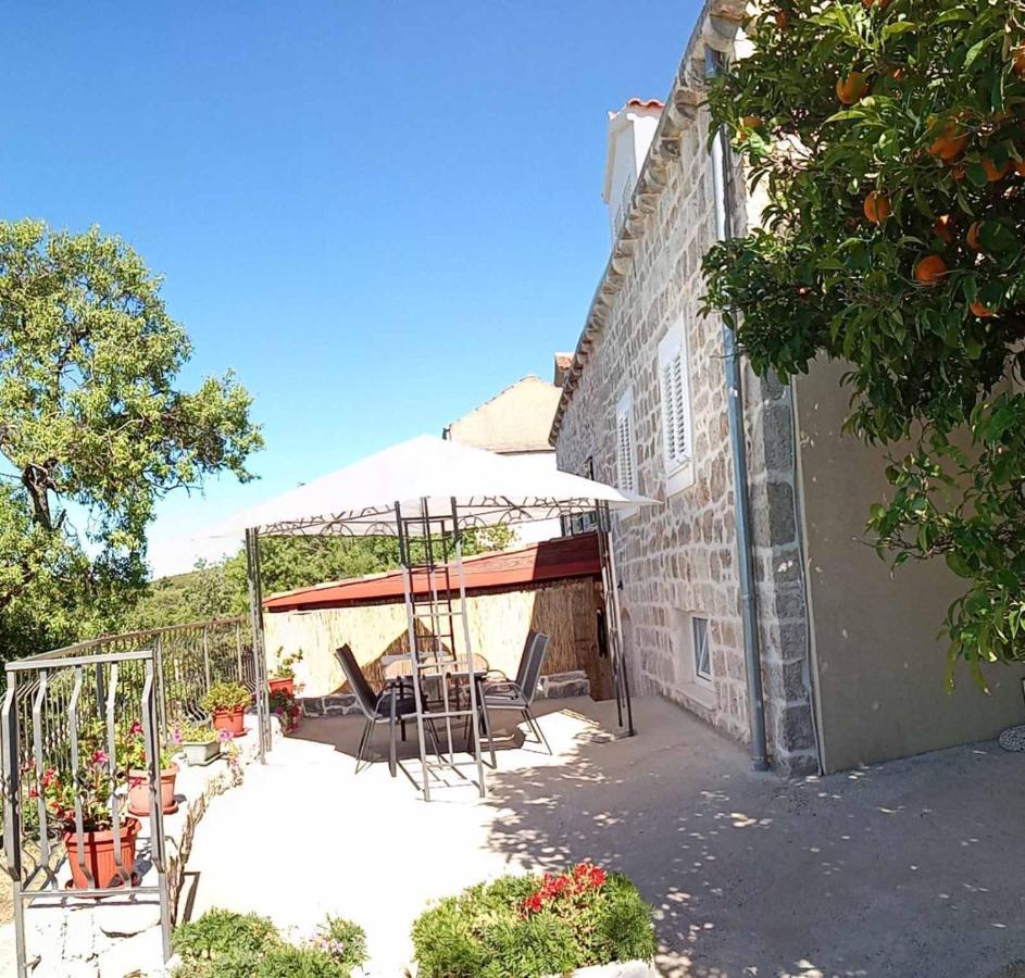 Holiday Apartments Maslina Paho Babino Polje Eksteriør billede