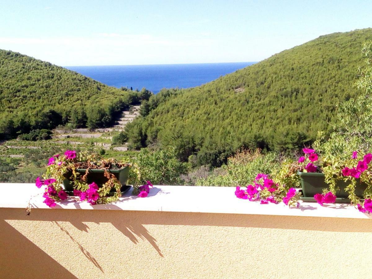 Holiday Apartments Maslina Paho Babino Polje Eksteriør billede